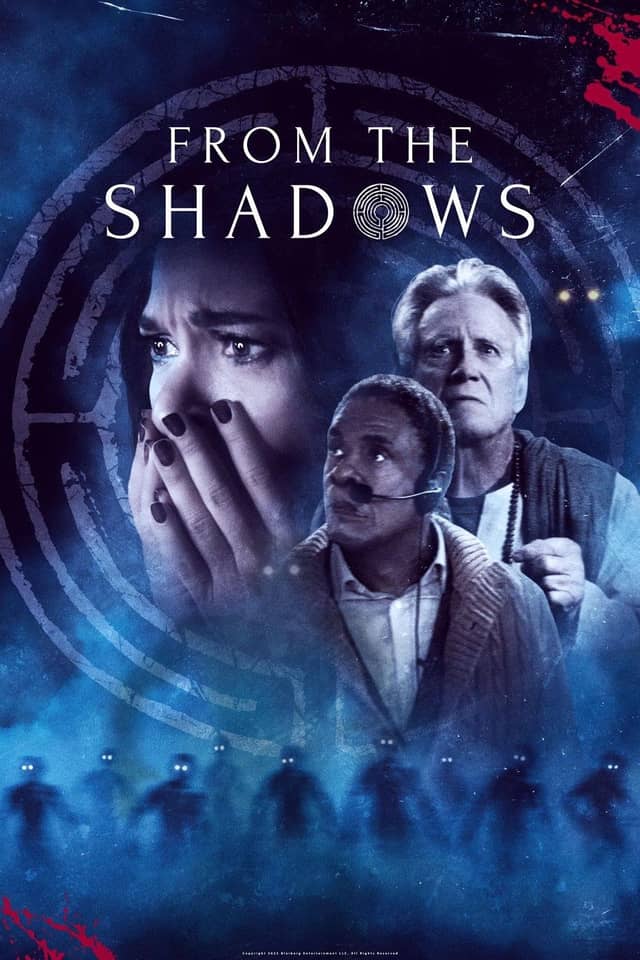 From the Shadows poster image