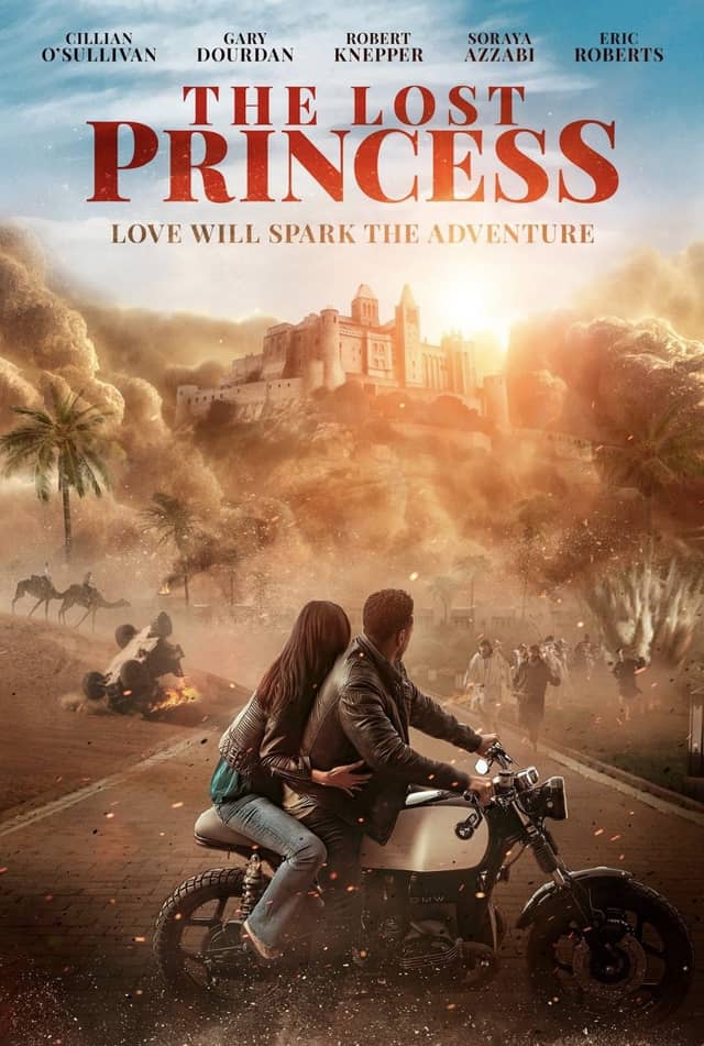 The Lost Princess poster image