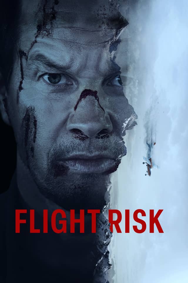 Flight Risk poster image