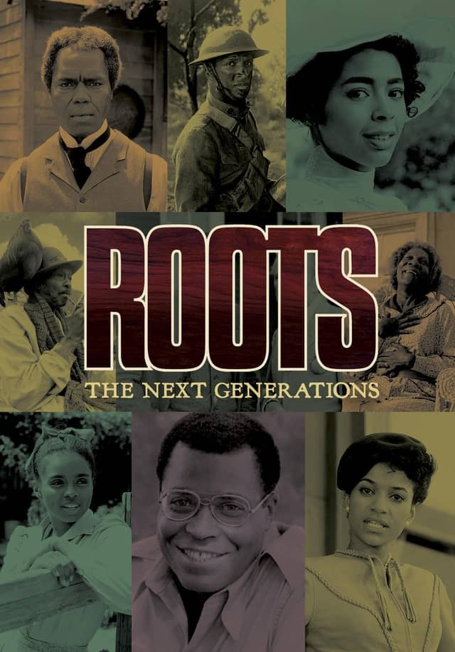 Roots: The Next Generations poster image