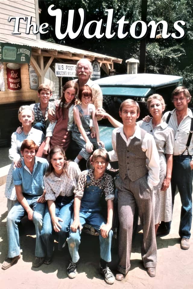 The Waltons poster image