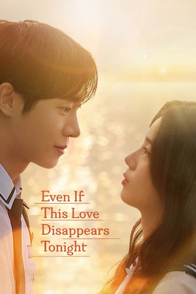 Even If This Love Disappears Tonight poster image