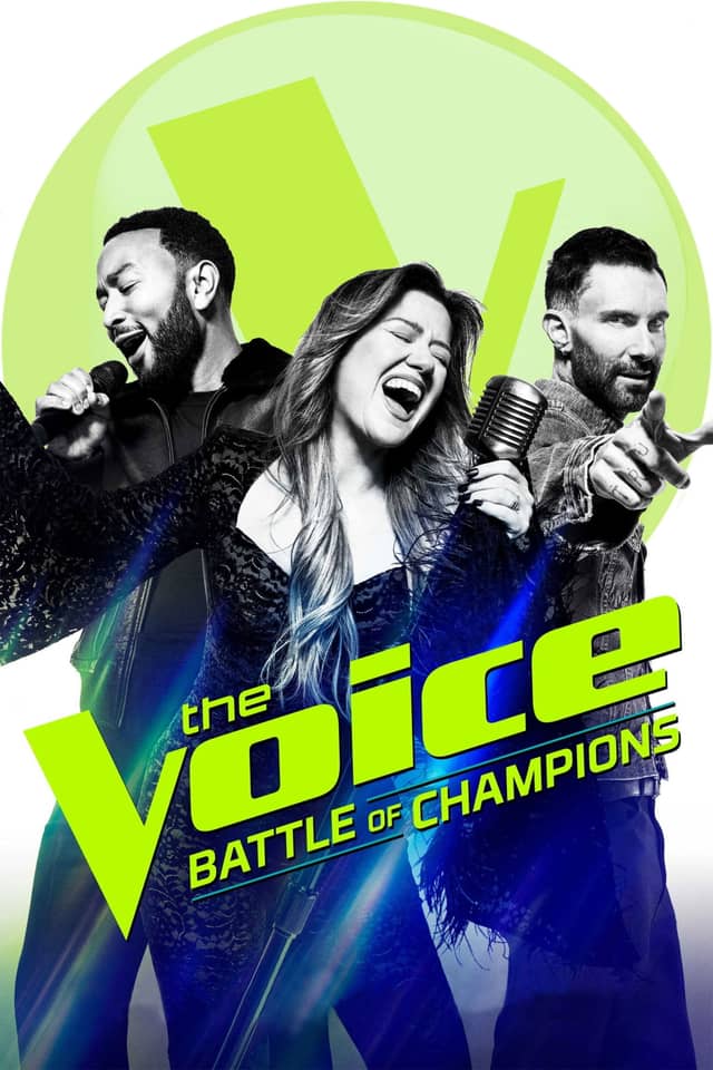 The Voice poster image