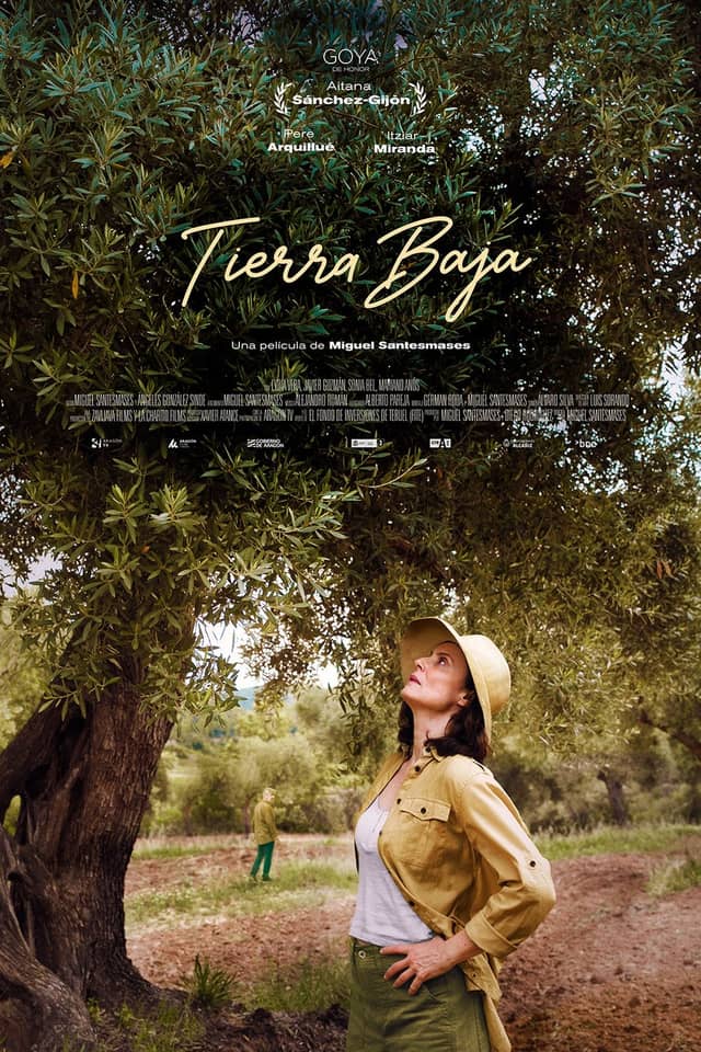 The Low Land poster image