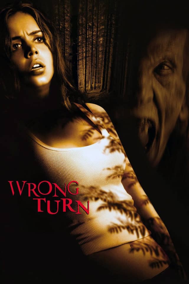 Wrong Turn poster image