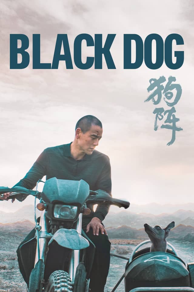 Black Dog poster image