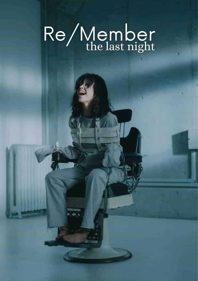 Re/Member: The Last Night poster image