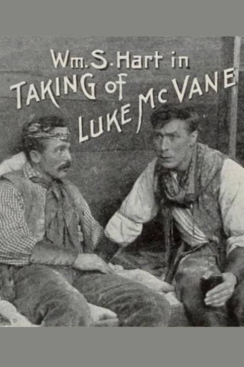 The Taking of Luke McVane poster image