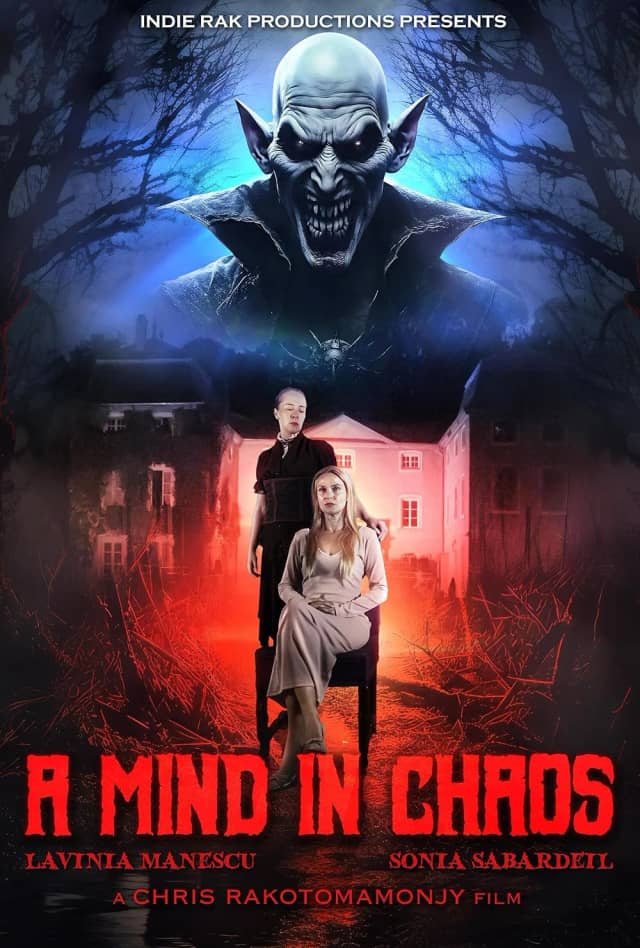 A Mind in Chaos poster image