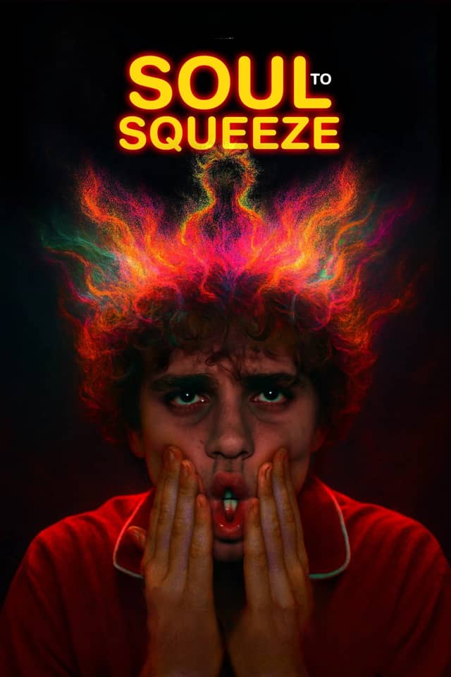Soul to Squeeze poster image