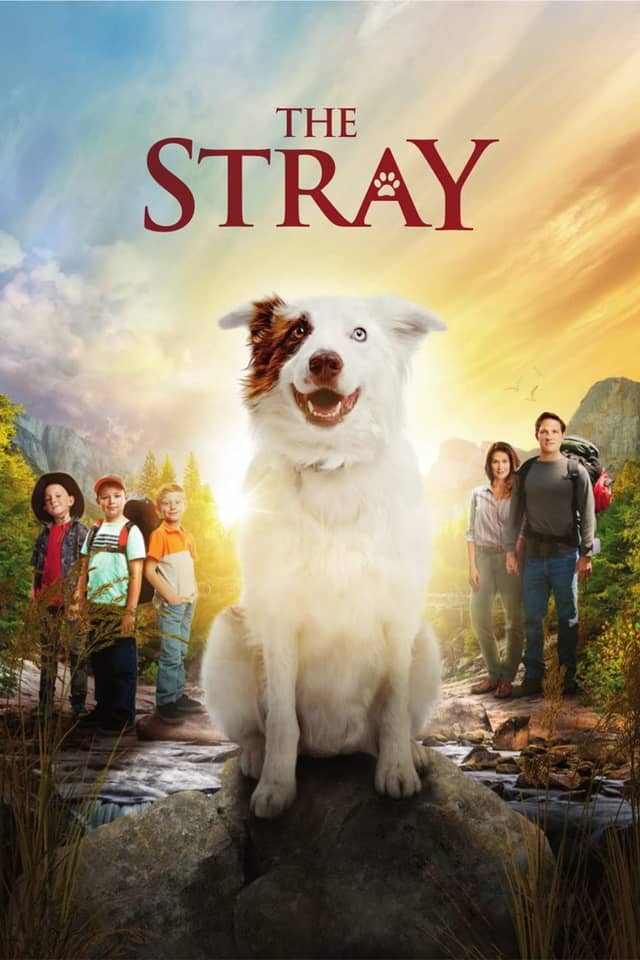 The Stray poster image