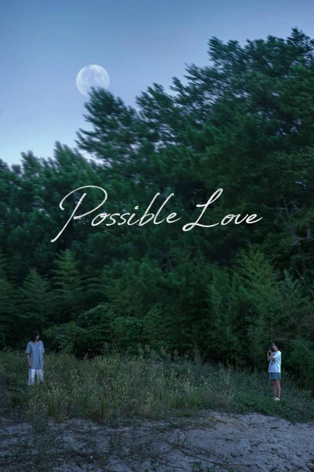 Possible Love poster image