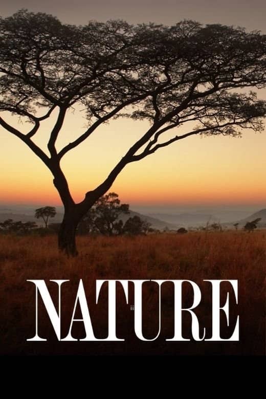 Nature poster image