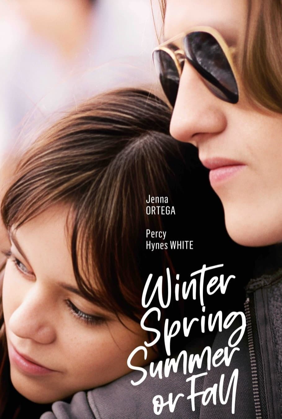 Winter Spring Summer or Fall poster image