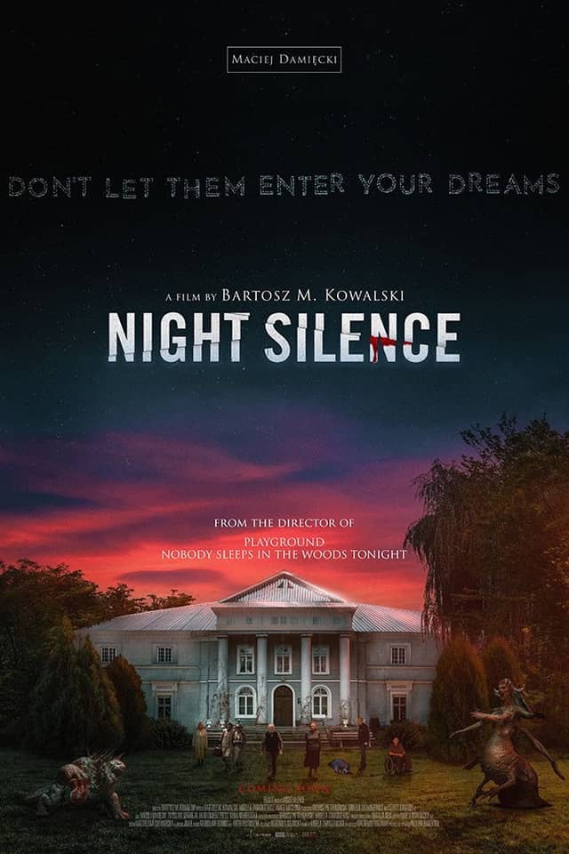 Night Silence poster image