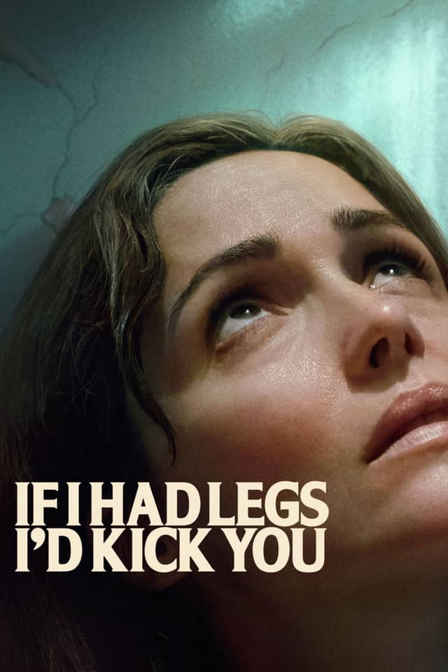 If I Had Legs I'd Kick You poster image