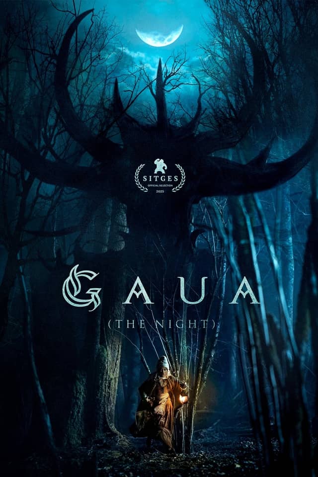 Gaua (The Night) poster image