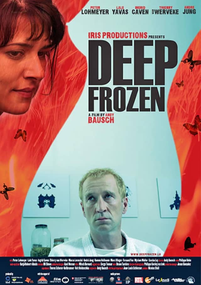 Deepfrozen poster image