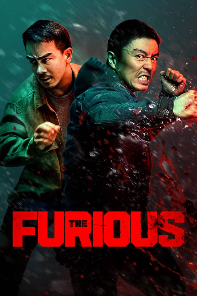 The Furious poster image