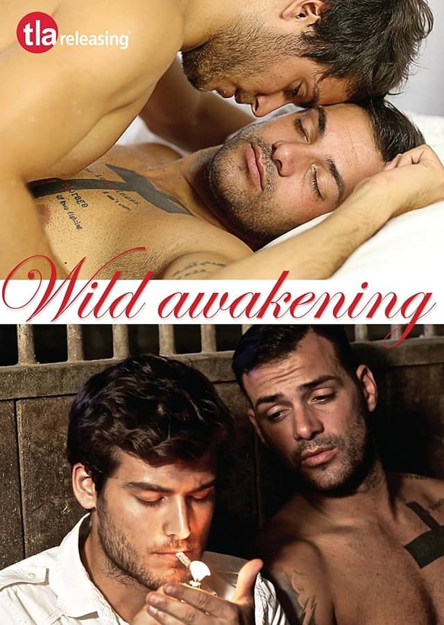 Wild Awakening poster image