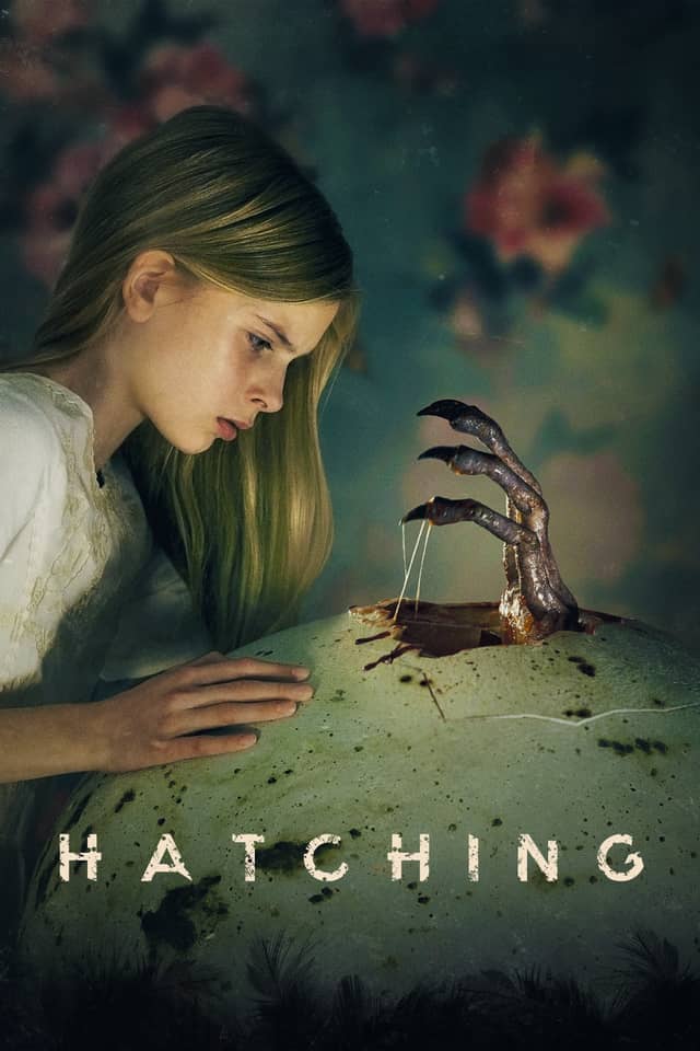 Hatching poster image