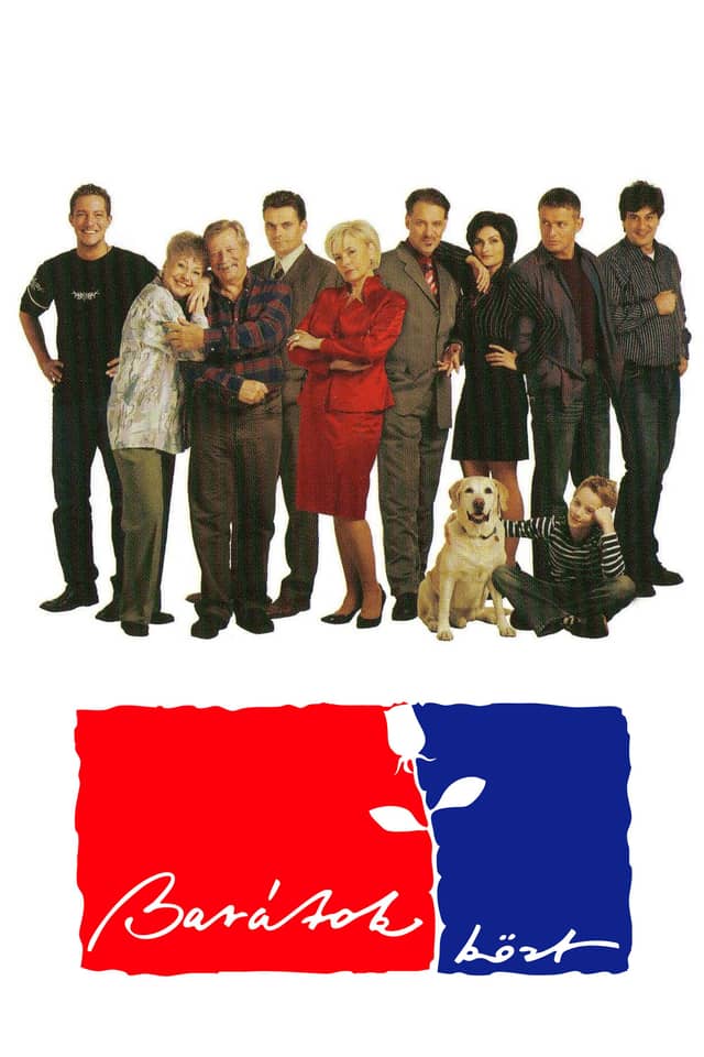 Among Friends poster image