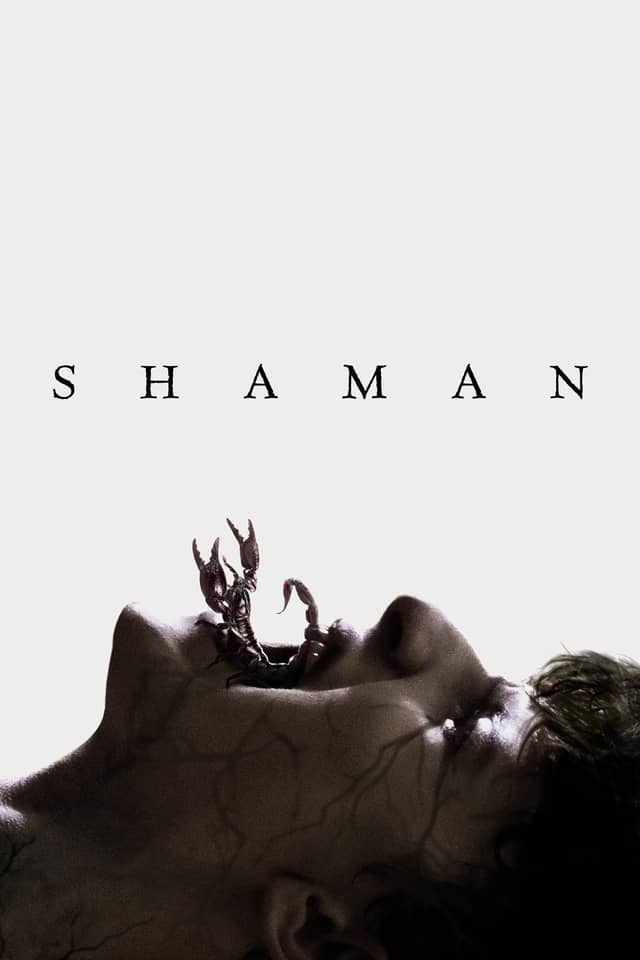 Shaman poster image