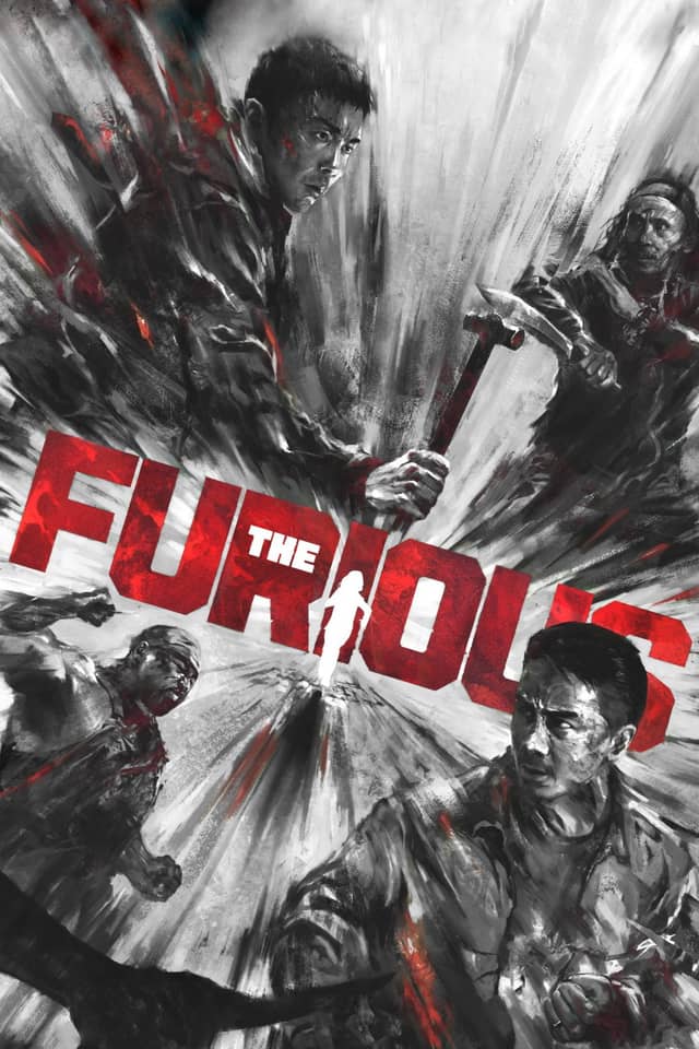 The Furious poster image