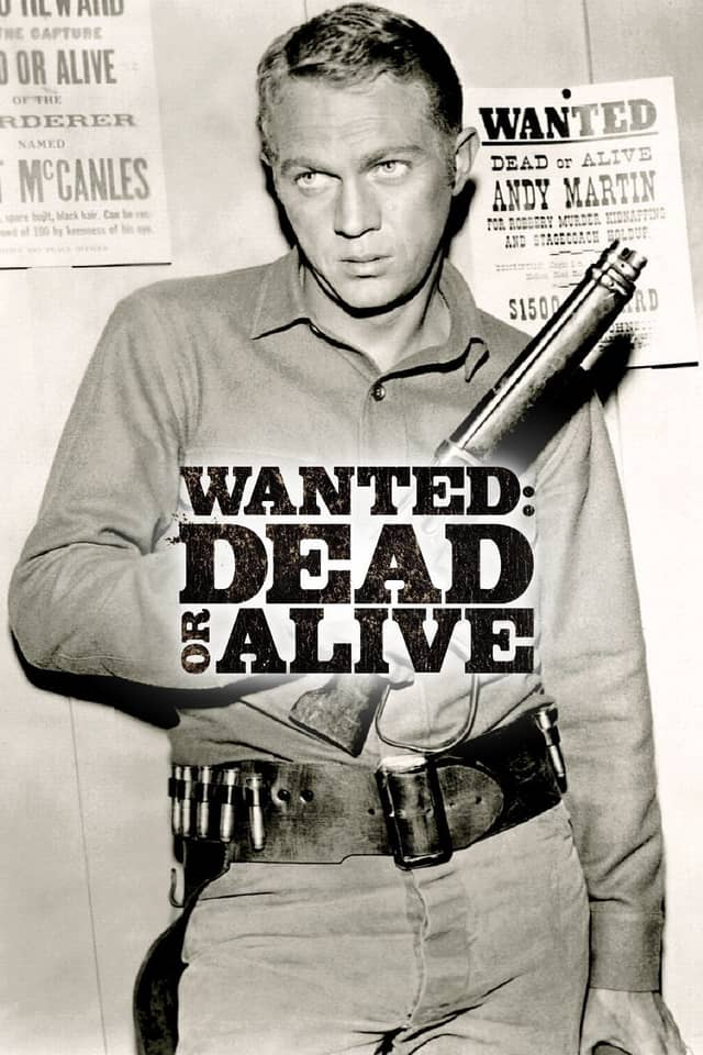 Wanted: Dead or Alive poster image