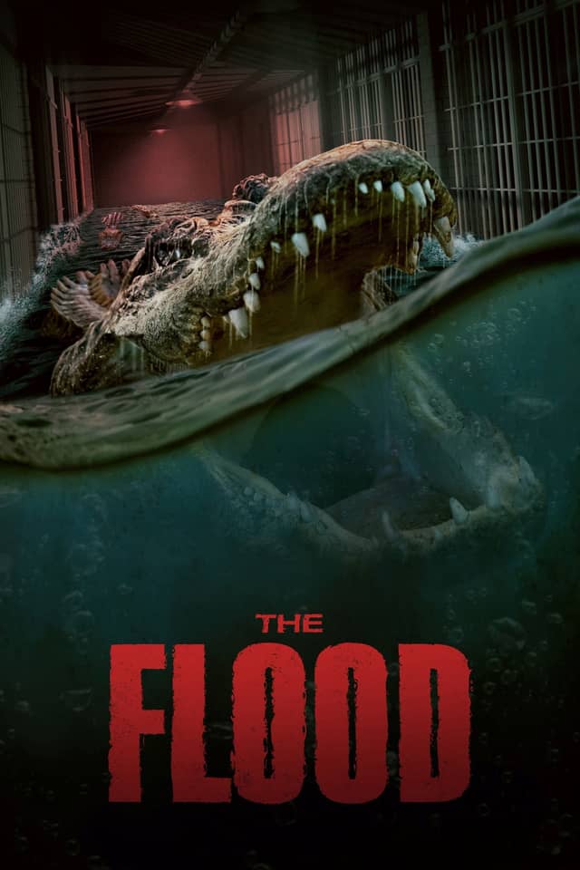 The Flood poster image
