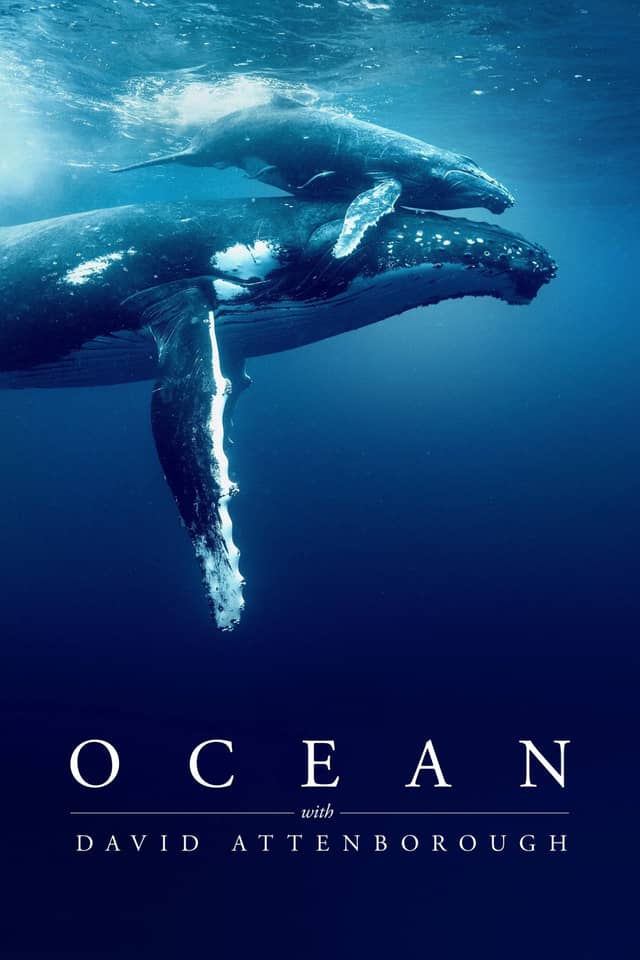 Ocean with David Attenborough poster image