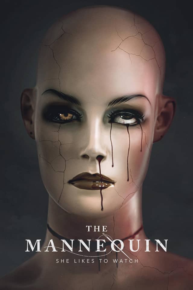 The Mannequin poster image