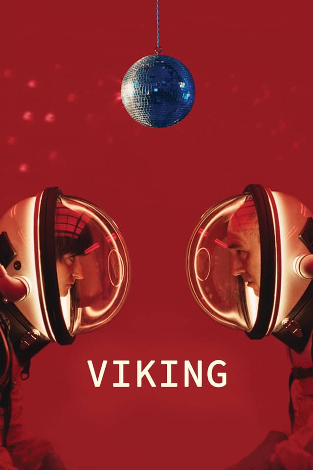 Viking poster image