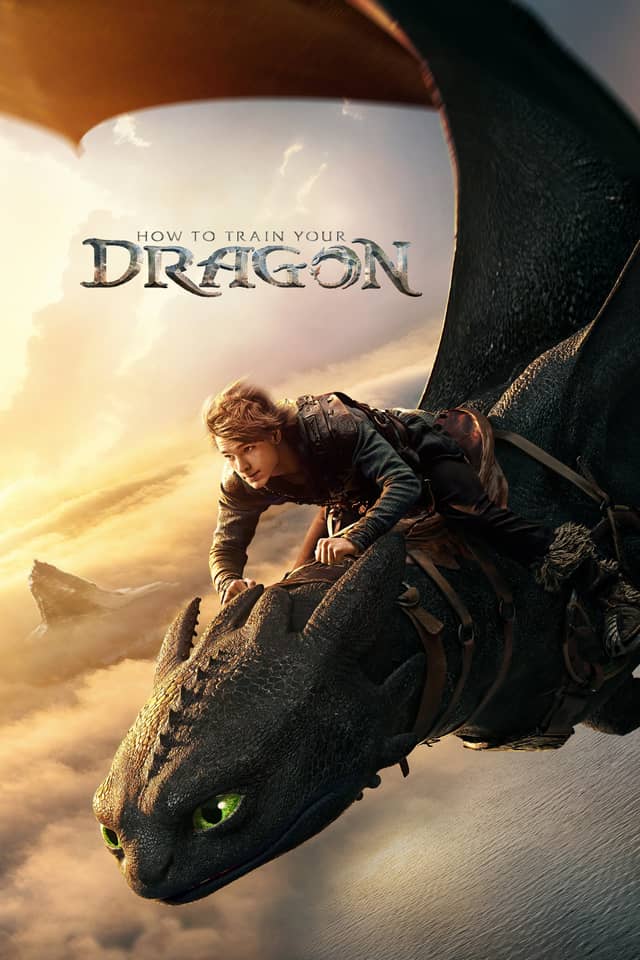 How to Train Your Dragon poster image