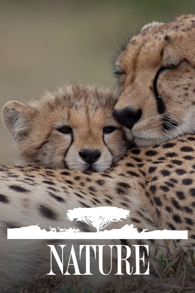 Nature poster image