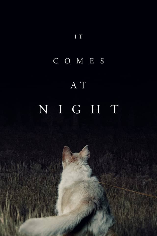 It Comes at Night poster image