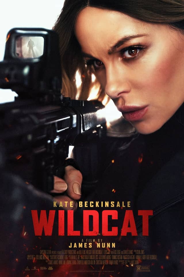 Wildcat poster image
