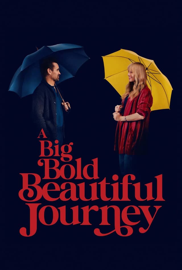 A Big Bold Beautiful Journey poster image