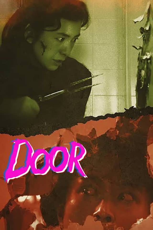 Door poster image
