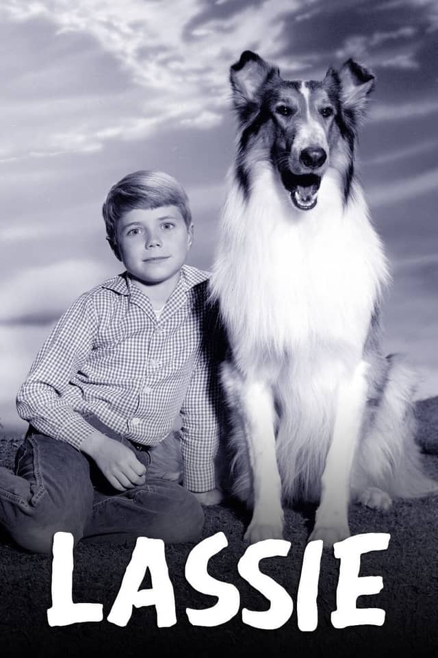 Lassie poster image