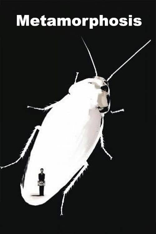 Metamorphosis poster image