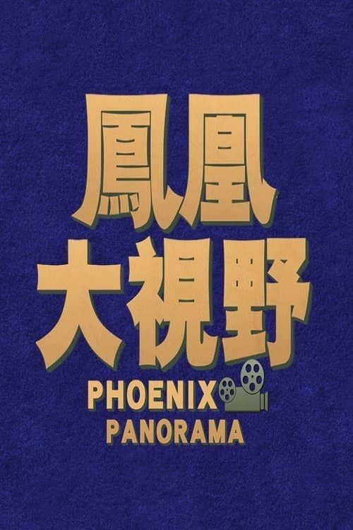 凤凰大视野 poster image