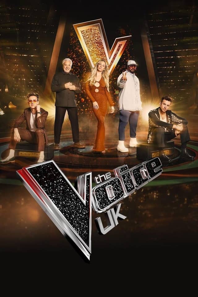 The Voice UK poster image