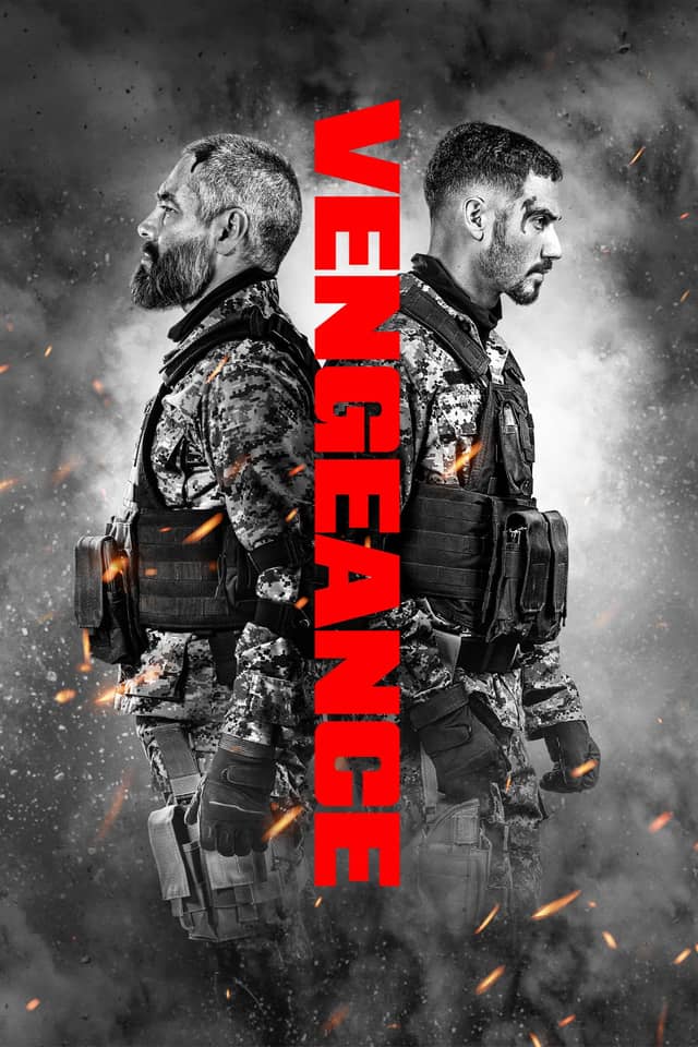 Vengeance poster image
