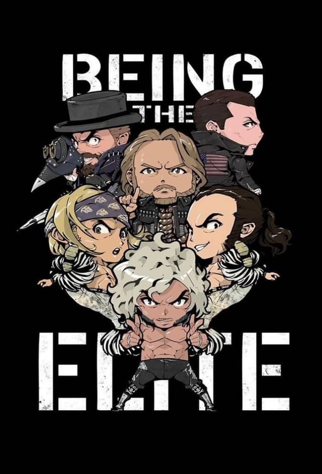 Being The Elite poster image