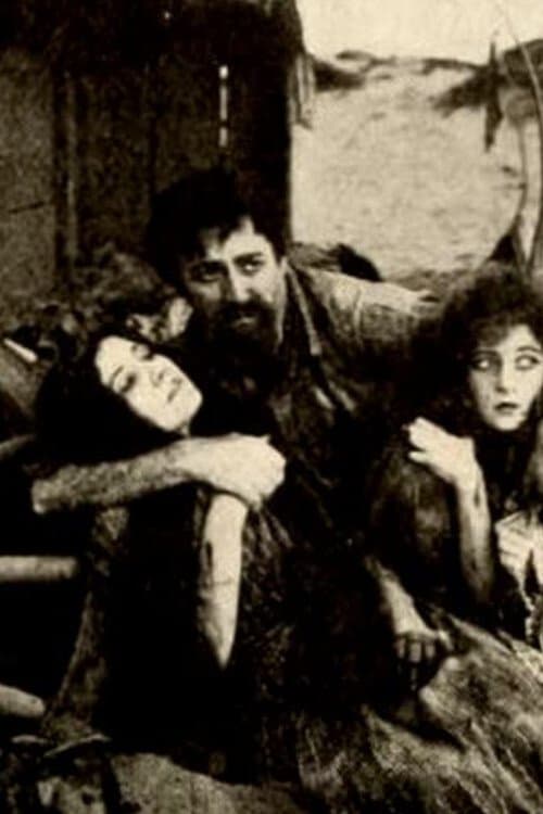 The Struggle poster image