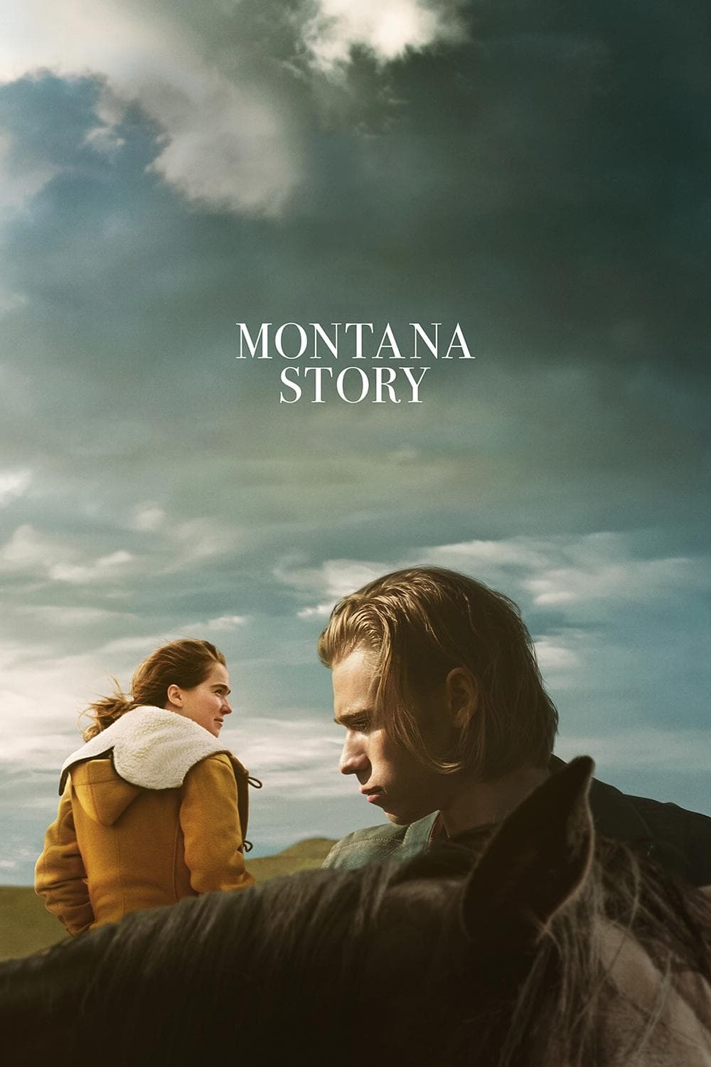 Montana Story poster image
