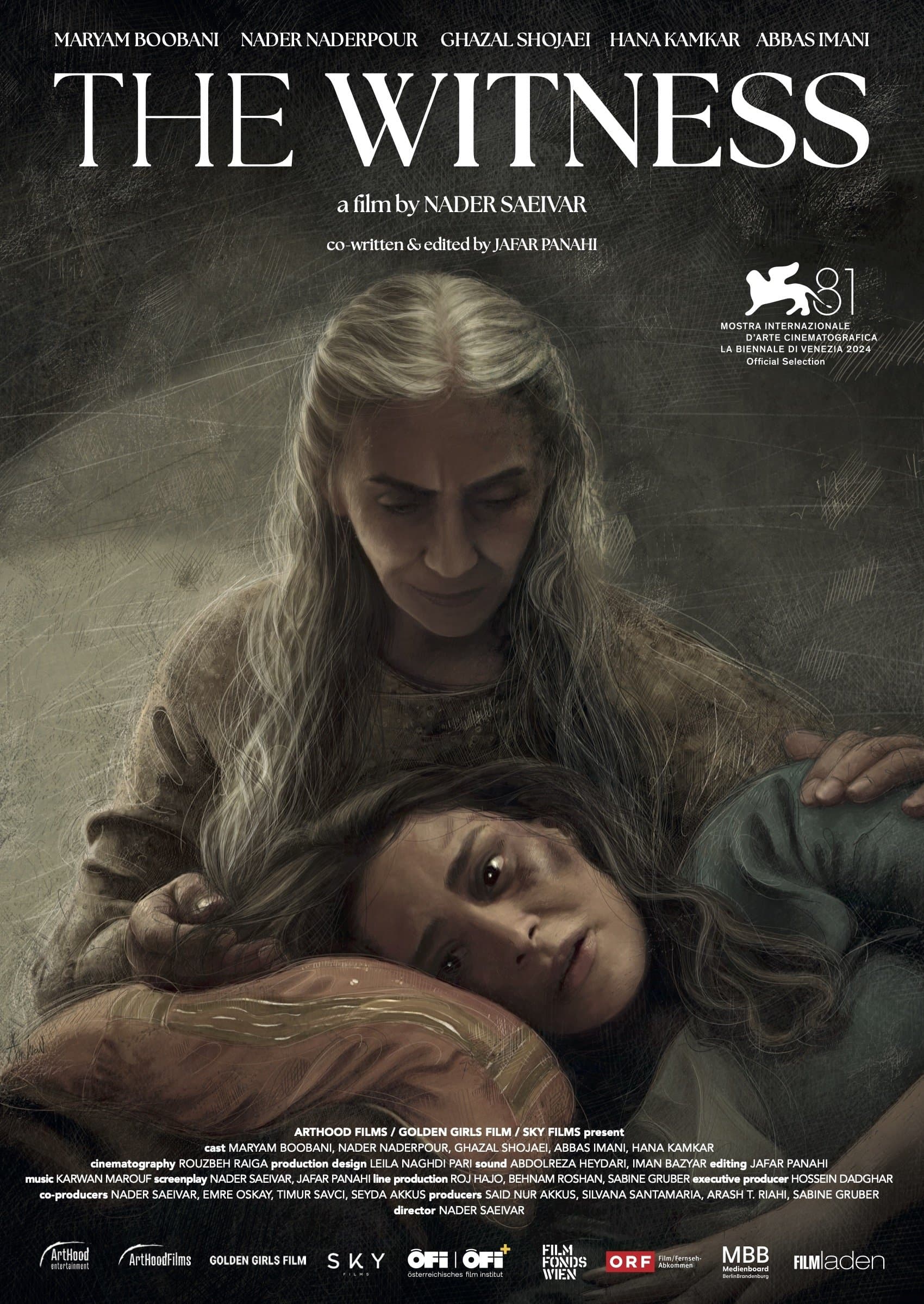 The Witness poster image