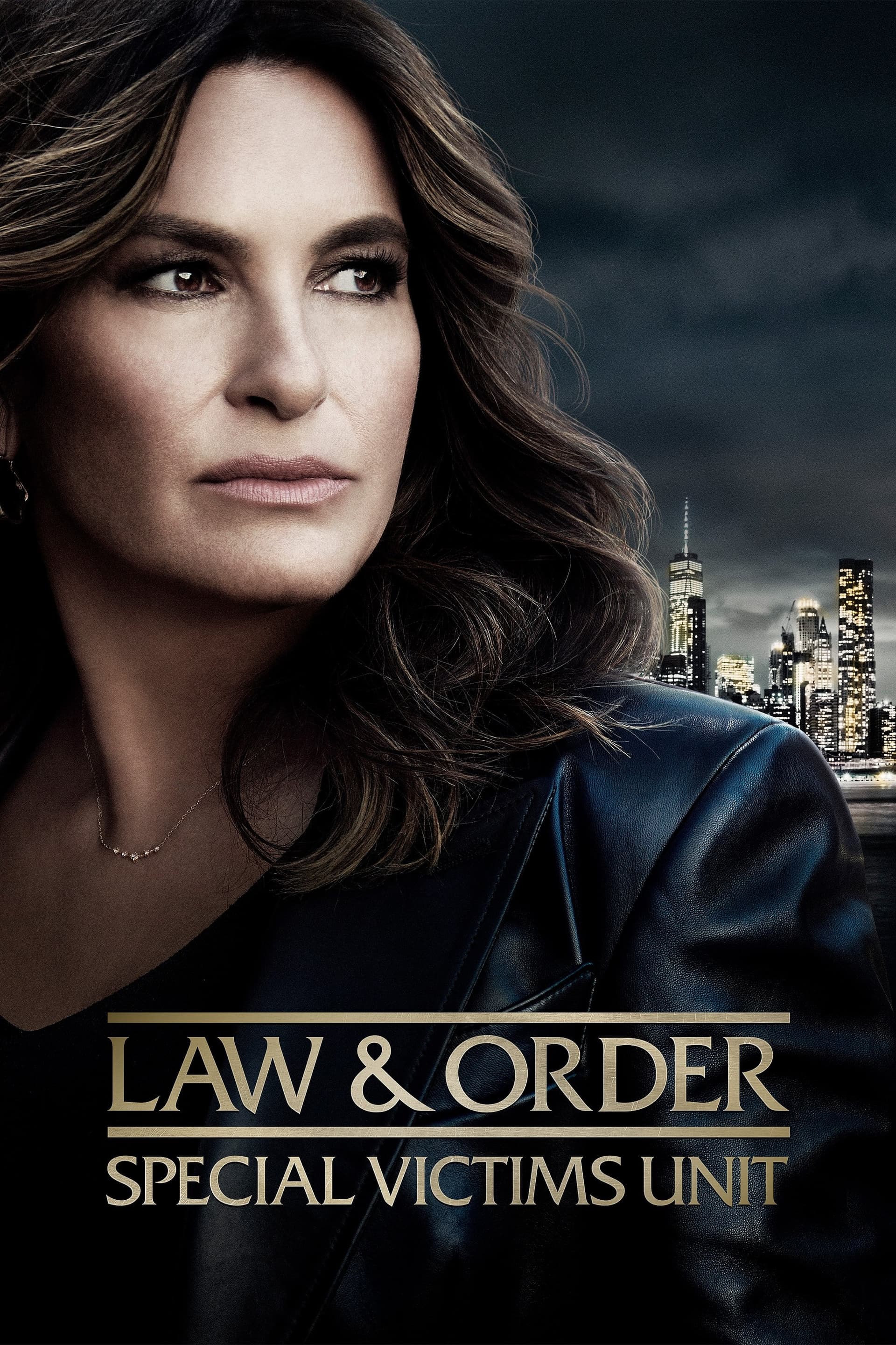 Law & Order: Special Victims Unit poster image