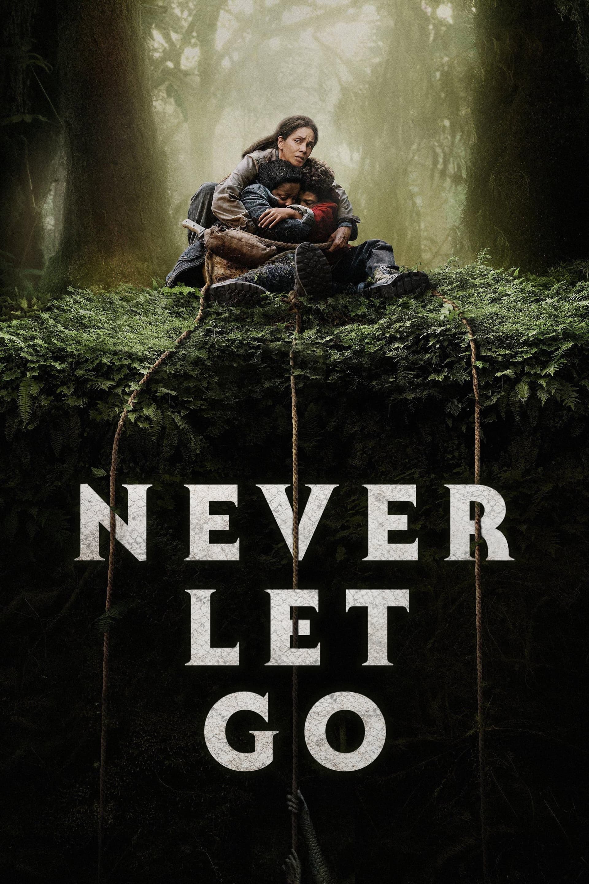 Never Let Go poster image